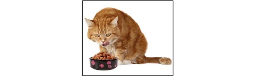  Alimentation du chat